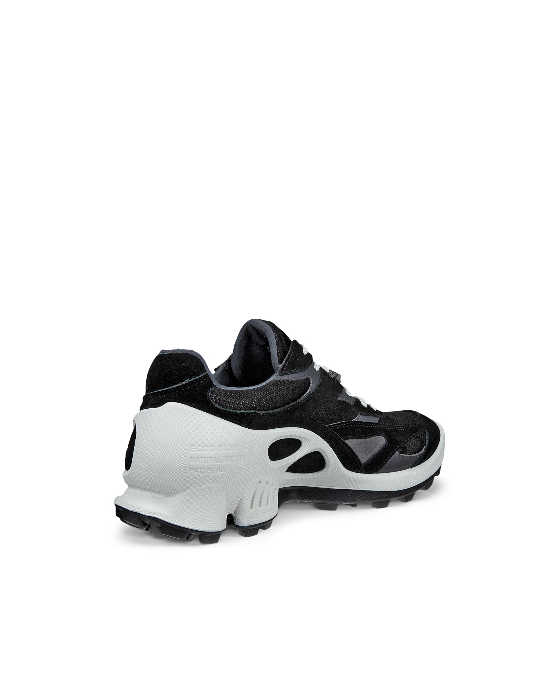 ECCO BIOM C-TRAIL - Negro - Back