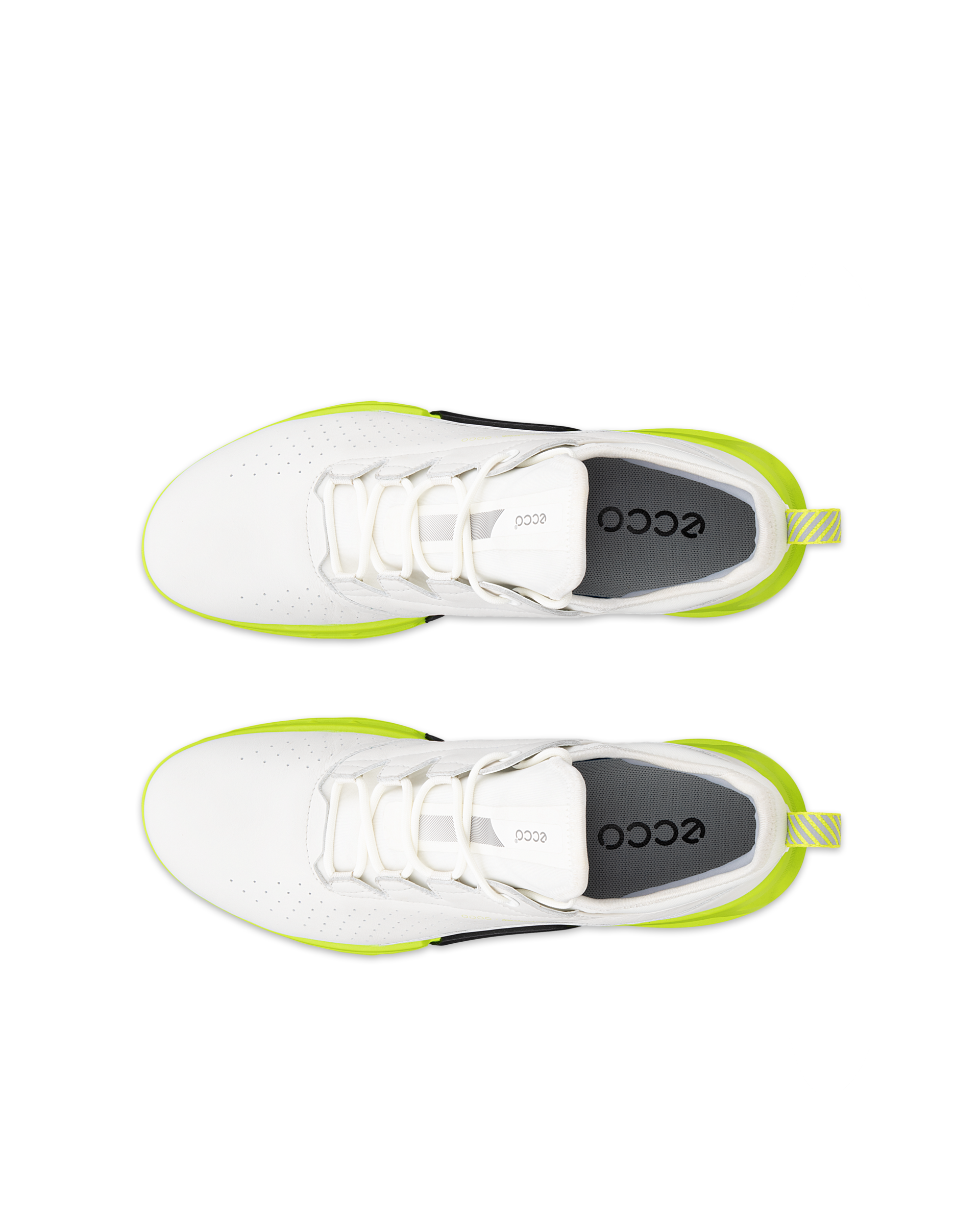 ECCO Golf BIOM C4 Men メンズ レザーGore-Texゴルフシューズ
