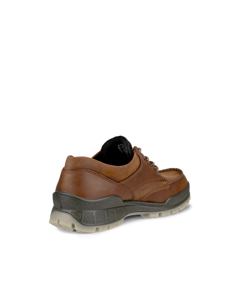ECCO Men's Track 25 Lowcut Waterproof Shoes - Brown - Back