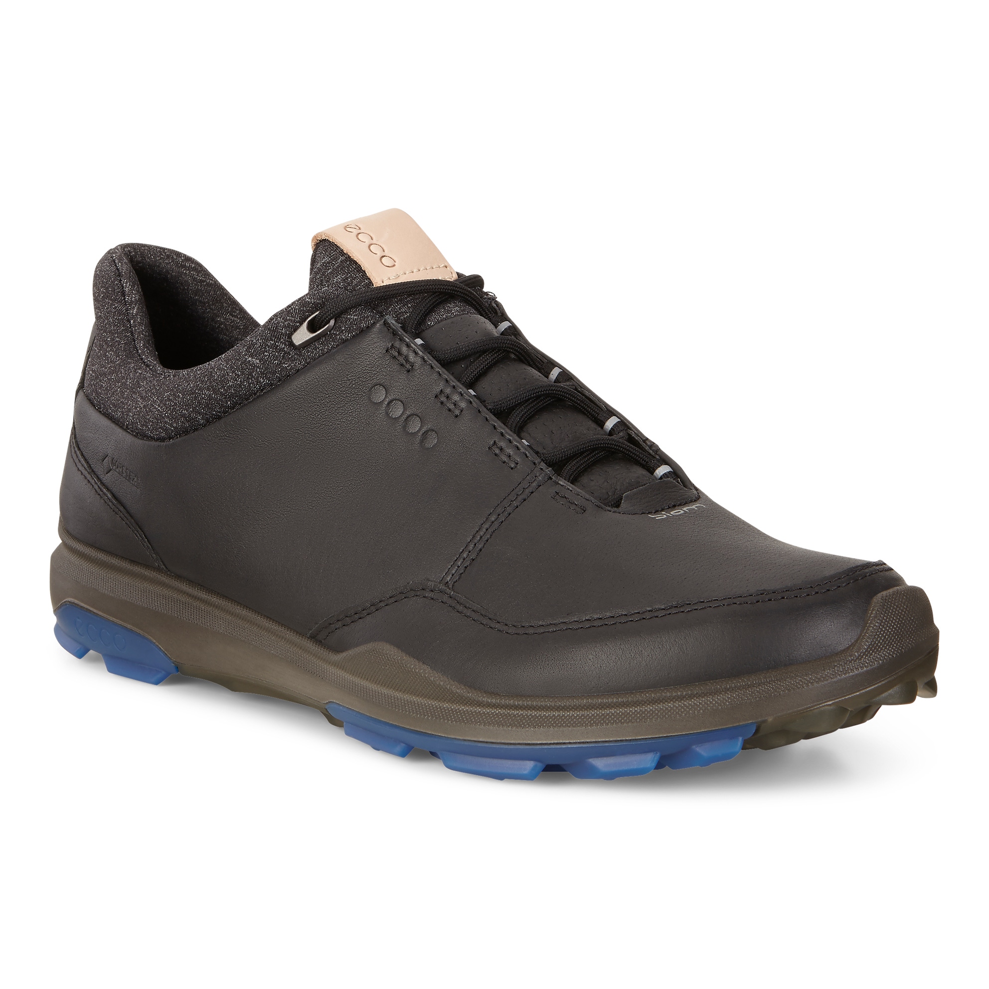 ECCO Men's BIOM Hybrid 3 Gtx Shoes - Black - Main