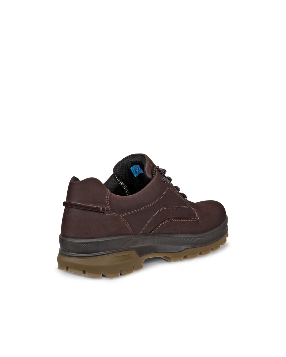 Ecco rugged online