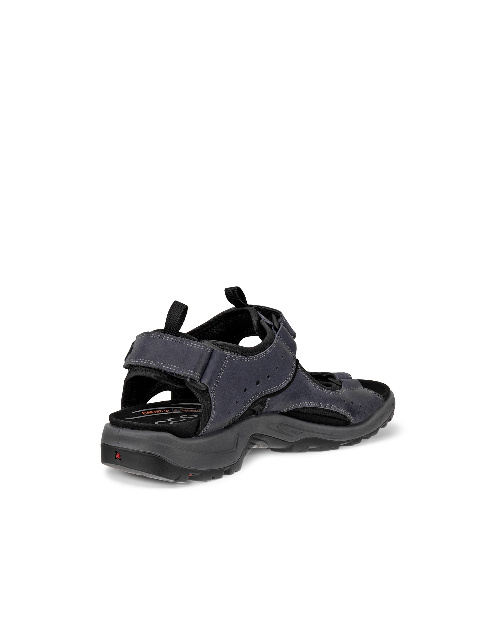 Sandalias de senderismo de nobuk ECCO® Offroad para hombre - Azul - Back