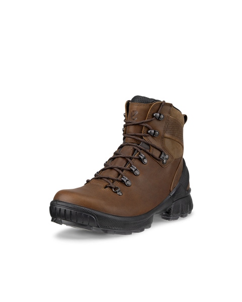 Men s ECCO Biom Hike Leather Outdoor Boot Brown