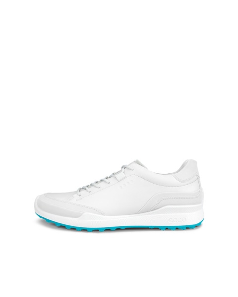 Ecco biom hybrid golf shoes 2014 online