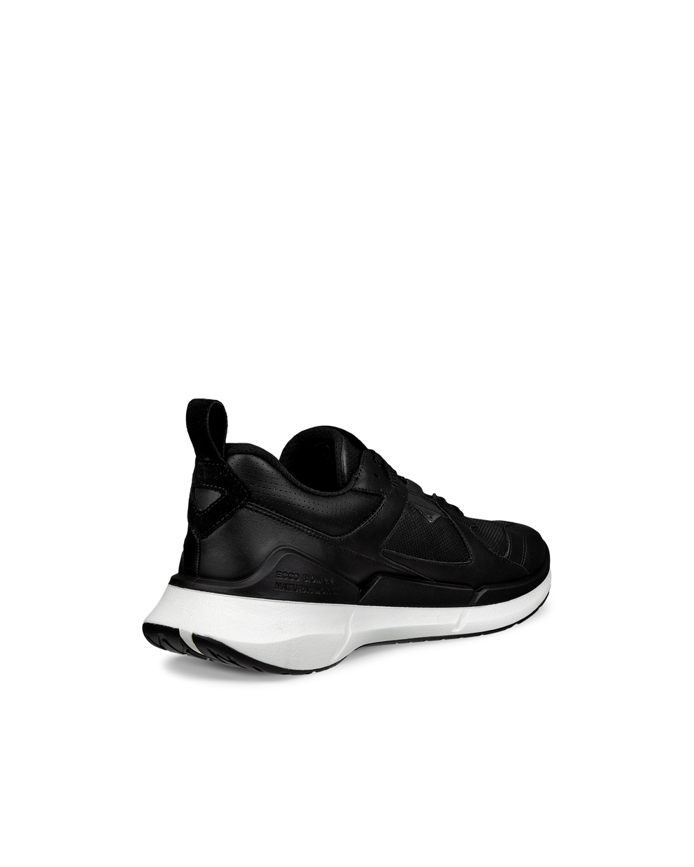 BIOM 2.2 M GTX - Black - Back