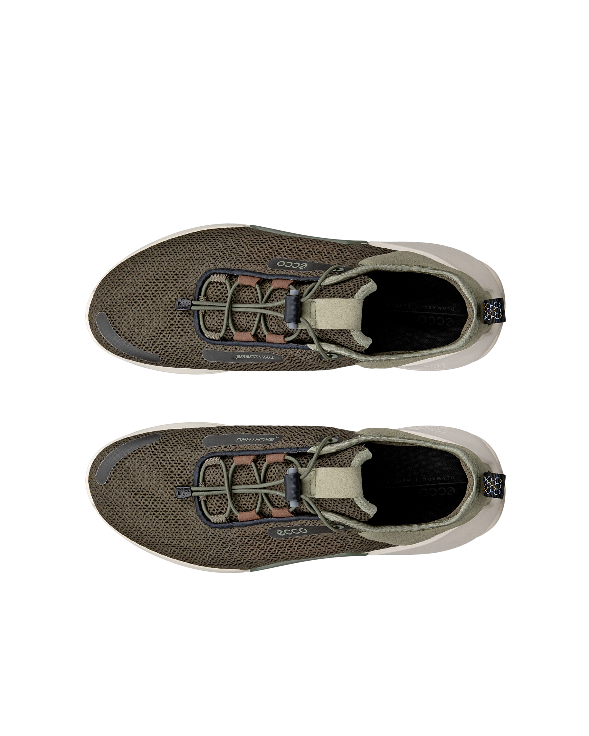 ECCO BIOM 2.0