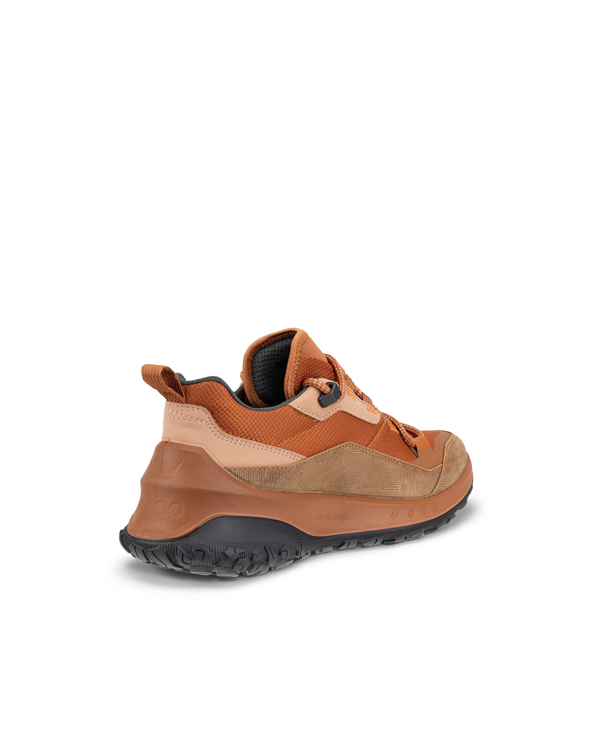 ECCO ULT-TRN Low ウィメンズ ヌバックウォータープルーフハイキングシューズ - ブラウン - Back