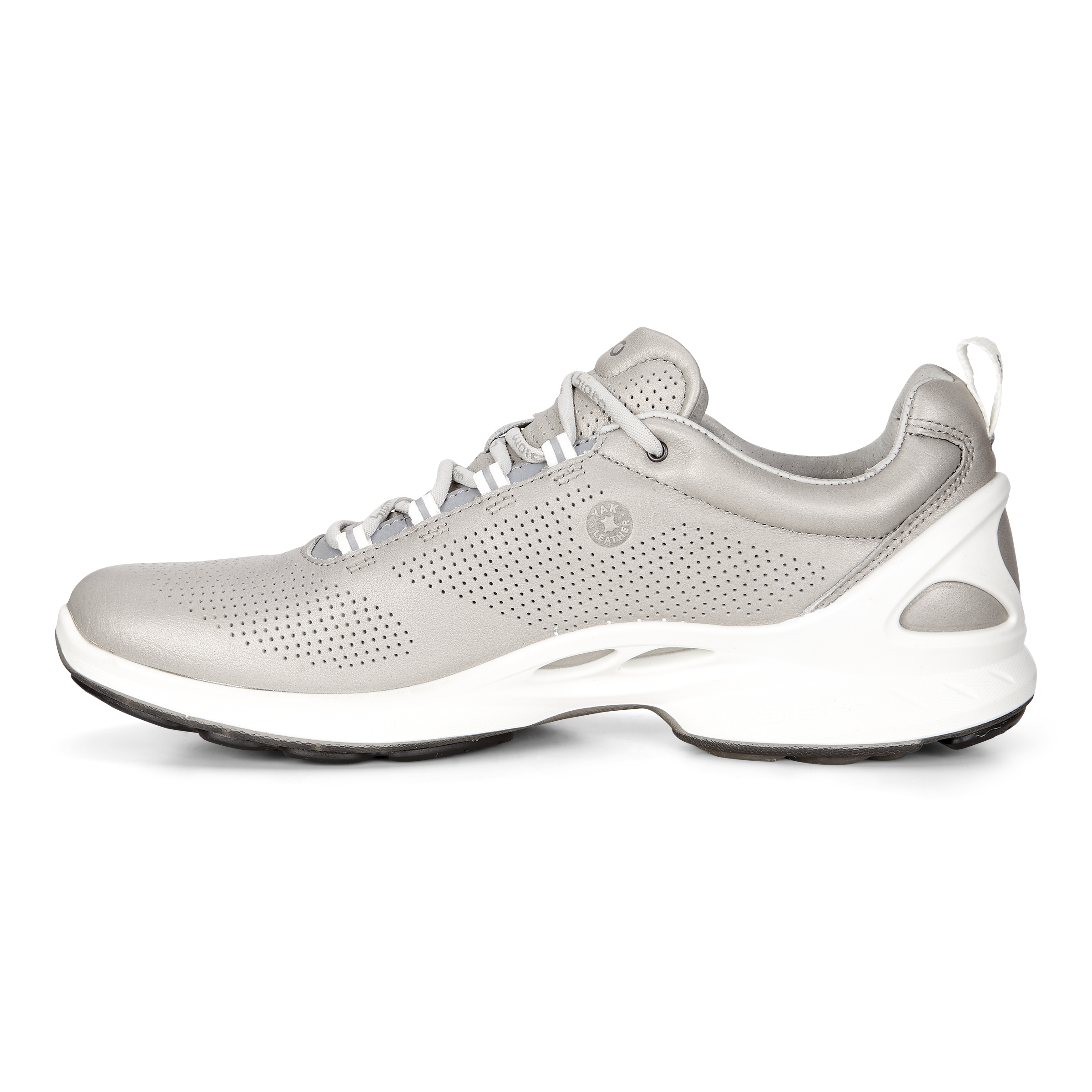 Ecco sport clearance biom fjuel train