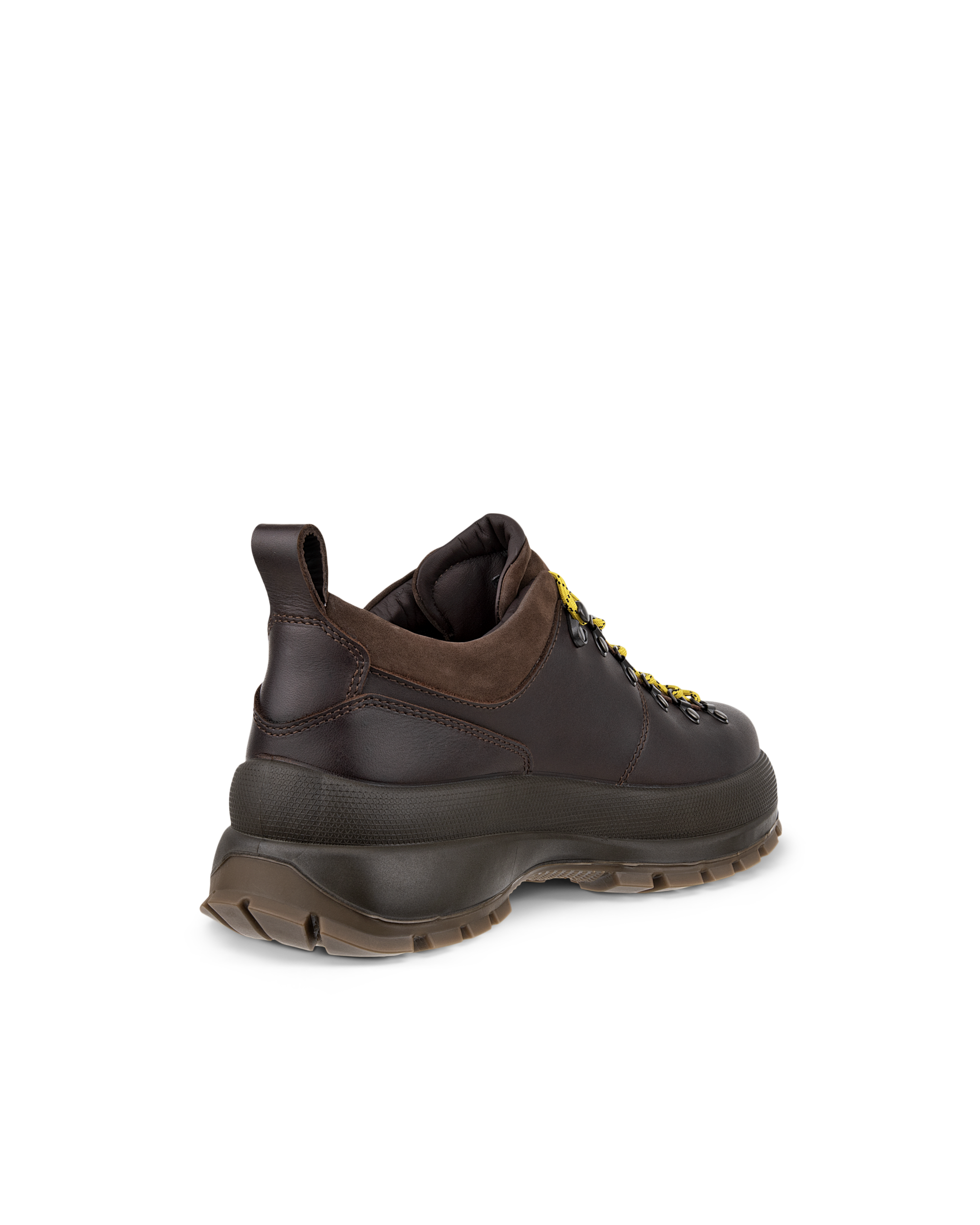 ECCO TRACK 30 MEN'S HIKING SHOE - Brown - Back