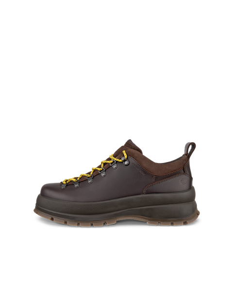 Ecco trekking shoes best sale