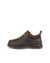 ECCO TRACK 30 MEN'S HIKING SHOE - Brown - Outside