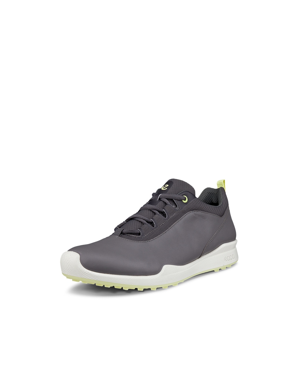 Ecco men's golf biom hybrid 2 online