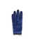 ECCO Golf Gloves Men - Azul - Main