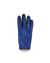 ECCO Golf Gloves Men - Azul - Back