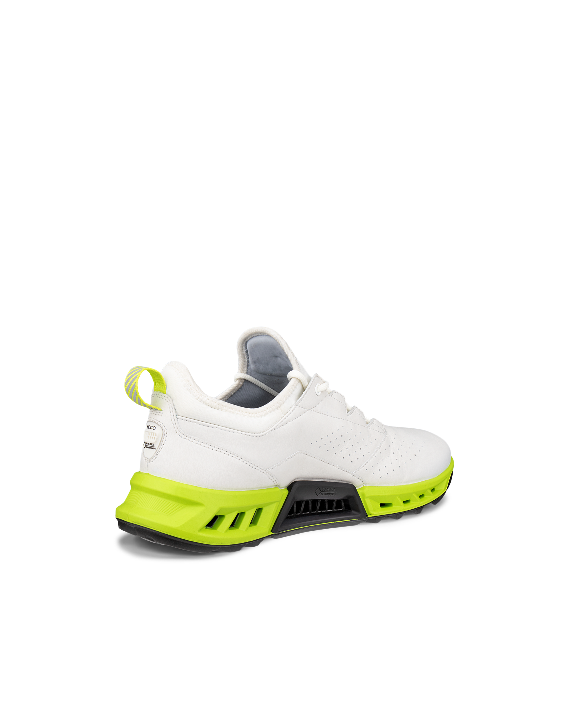 ECCO Golf BIOM C4 Men メンズ レザーGore-Texゴルフシューズ