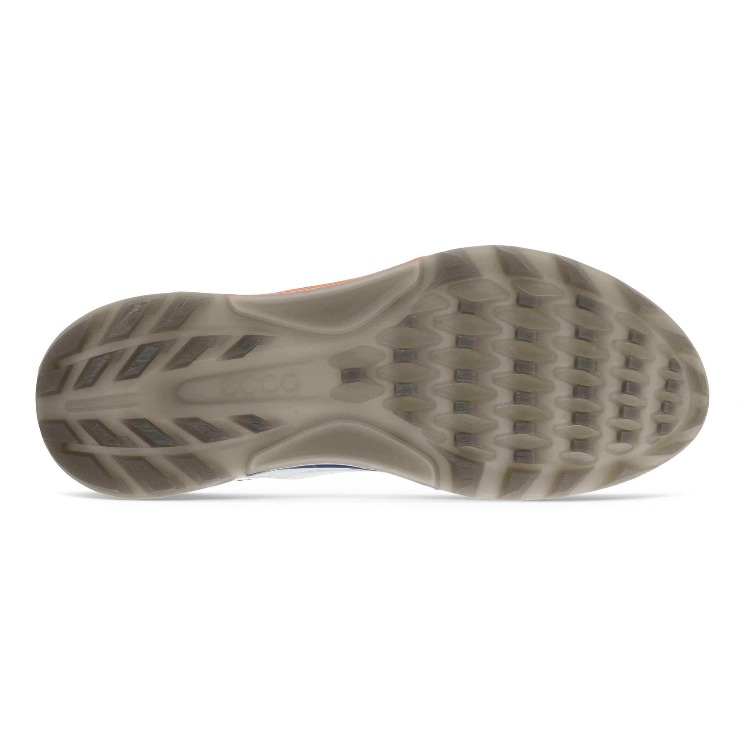 ECCO Golf BIOM C4 メンズ レザーGore-Texゴルフシューズ - 灰色 - Sole