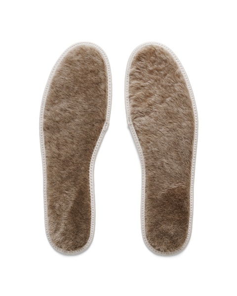 Ecco biom insoles online