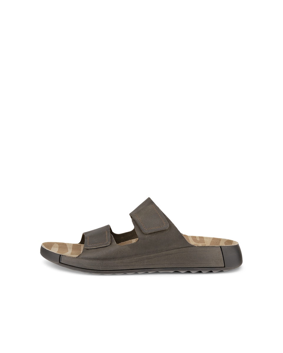 Ecco slides online