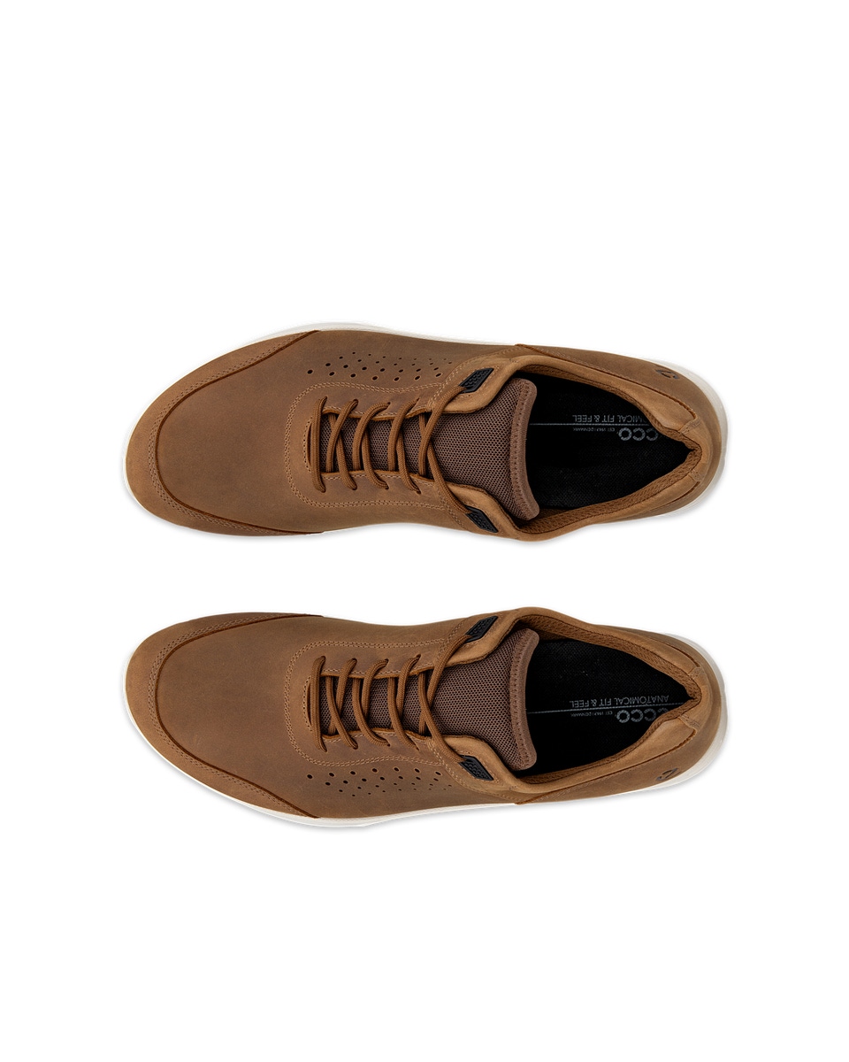 Ecco nubuck shoes sales