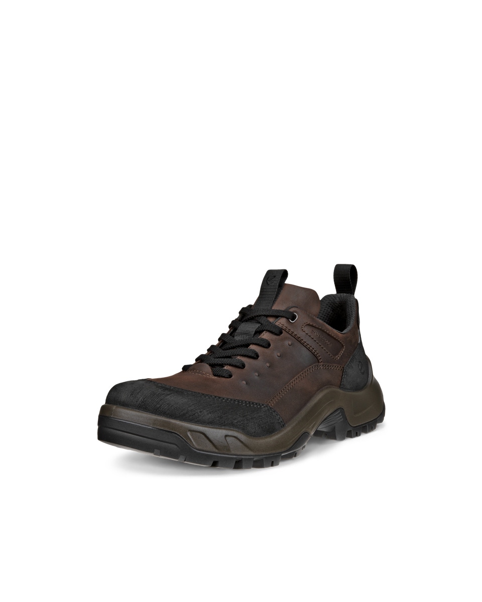 Ecco biom hike mens brown online