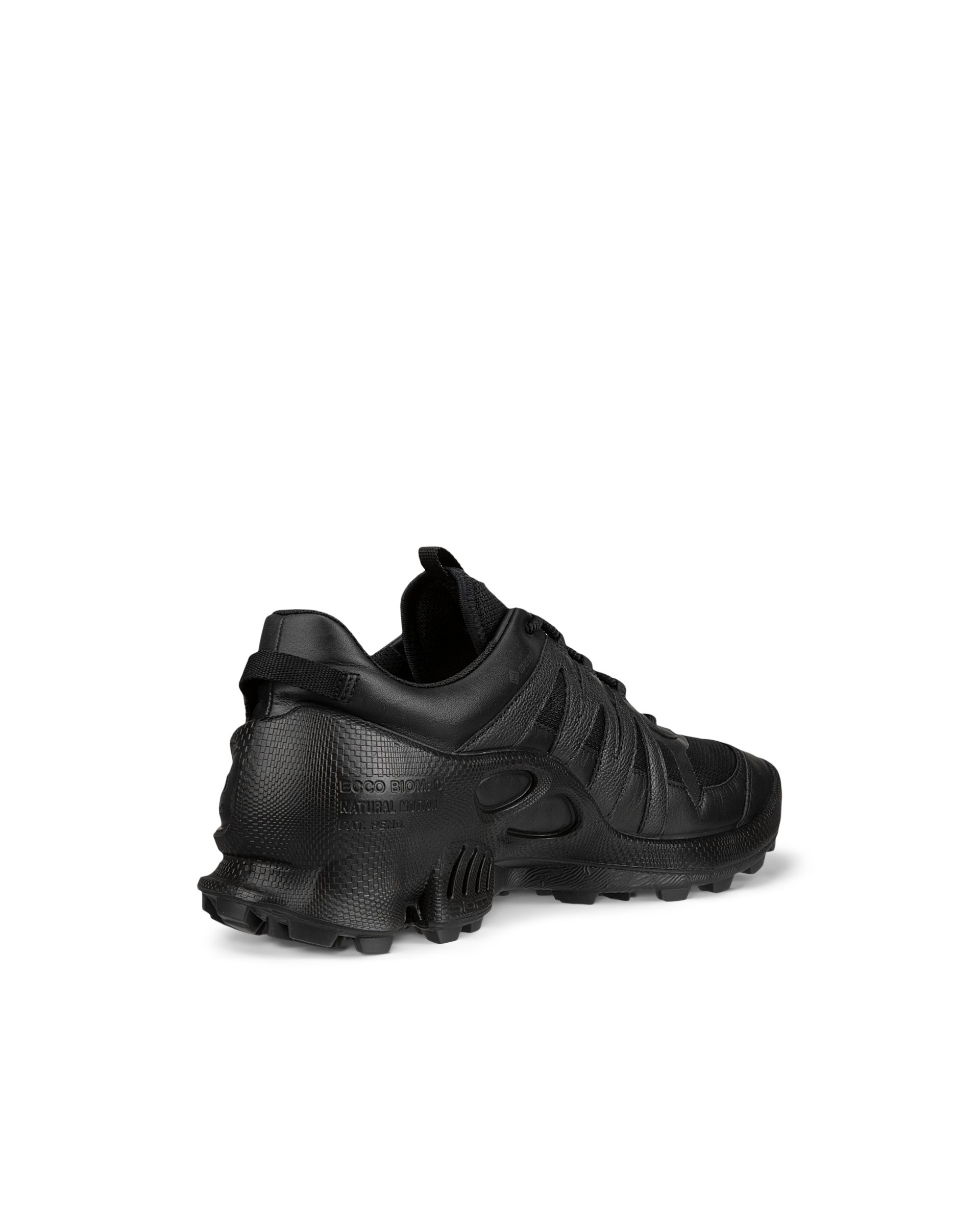 Zapatos de montaña de piel Gore-Tex ECCO® Biom C-Trail para hombre - Negro - Back