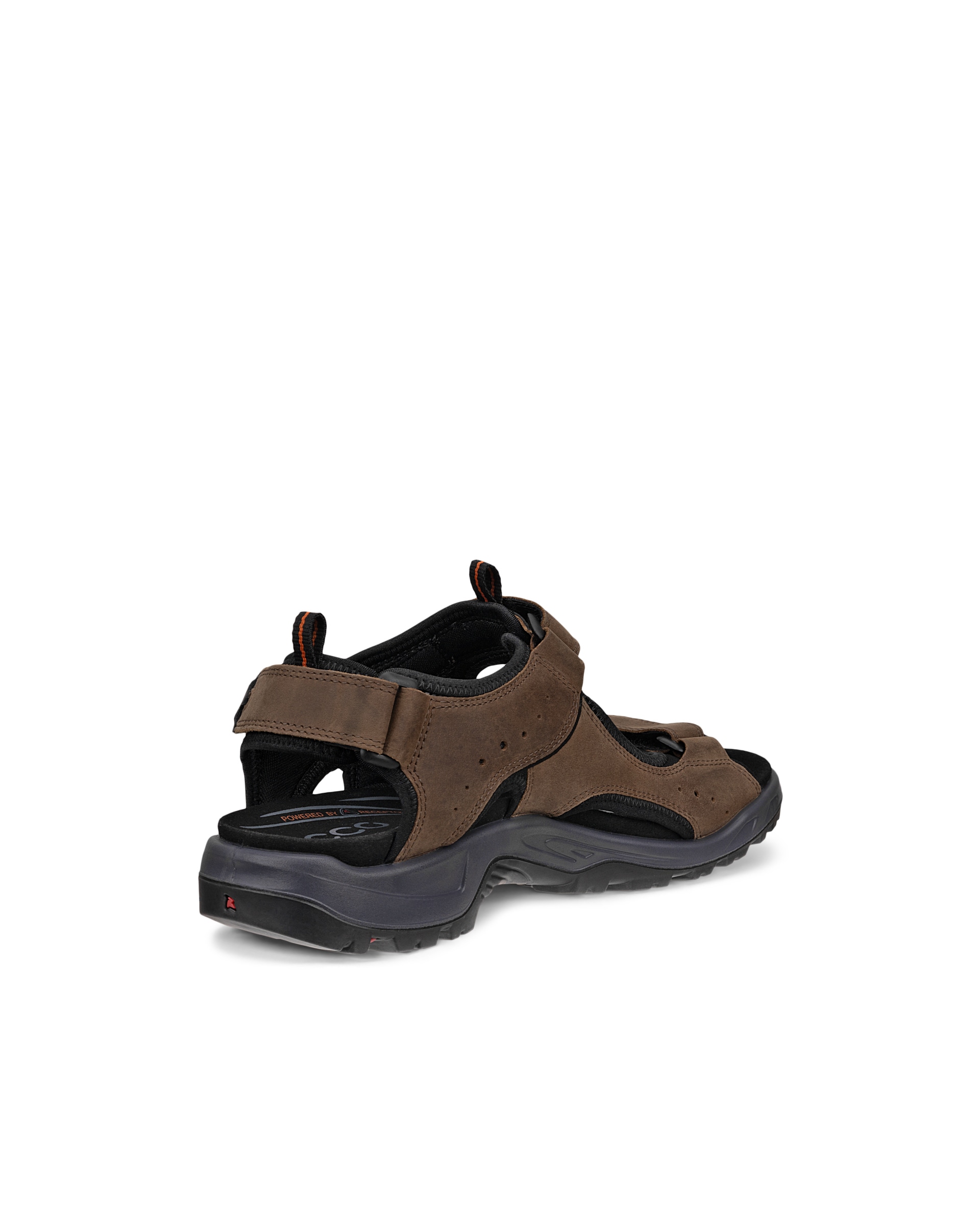 Men's ECCO® Offroad Andes II Nubuck Outdoor Sandal - Brown - Back