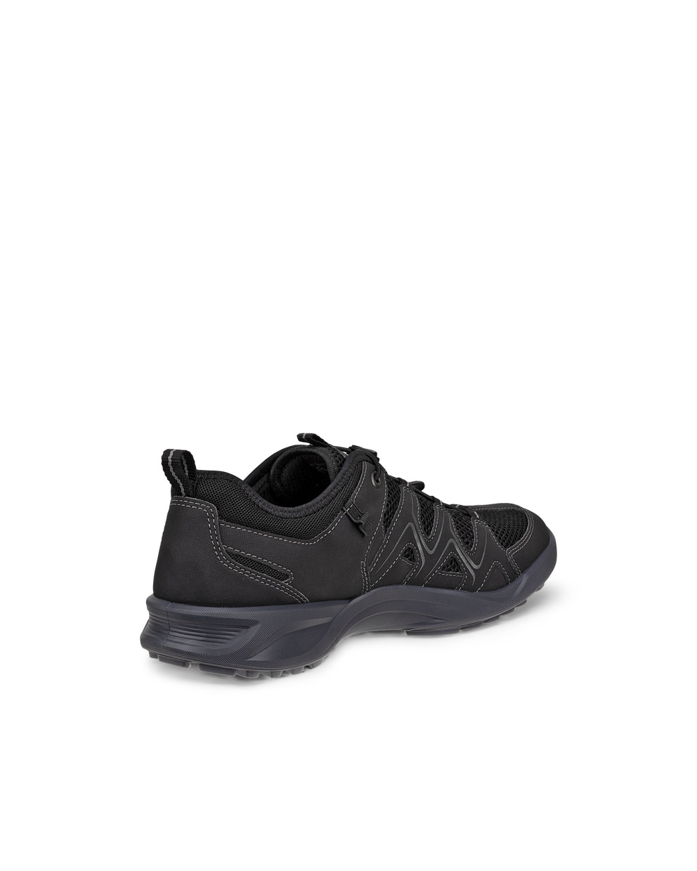 Men's ECCO® Terracruise LT Outdoor Shoe - Black - Back