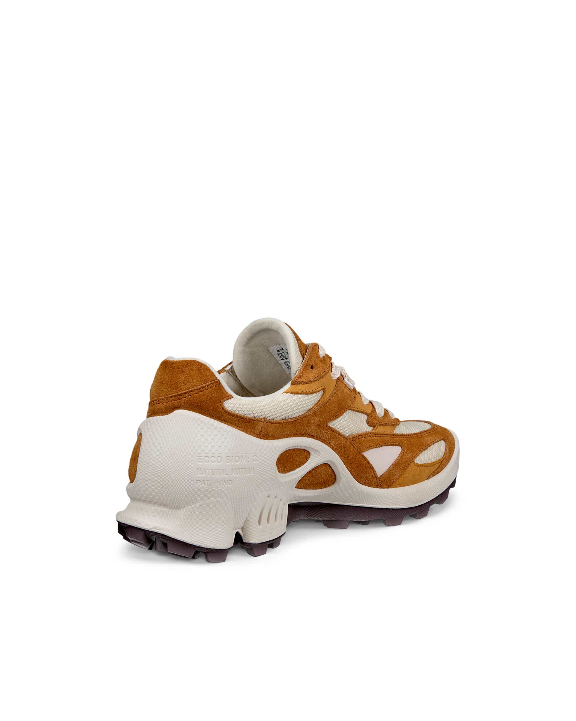 ECCO BIOM C-TRAIL - Pruun - Back