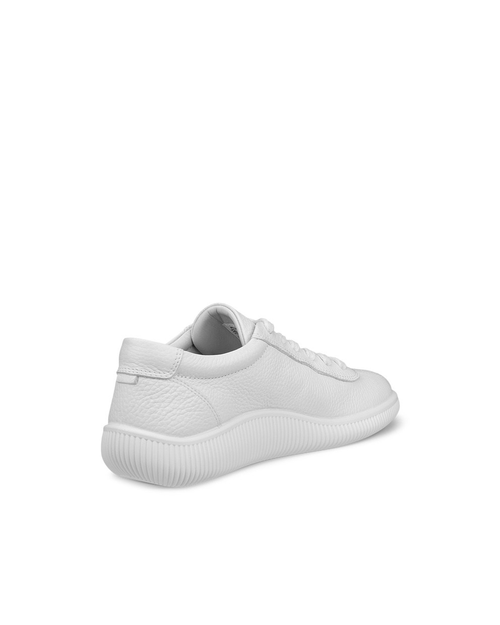 ECCO Women Soft Zero Sneaker - White - Back