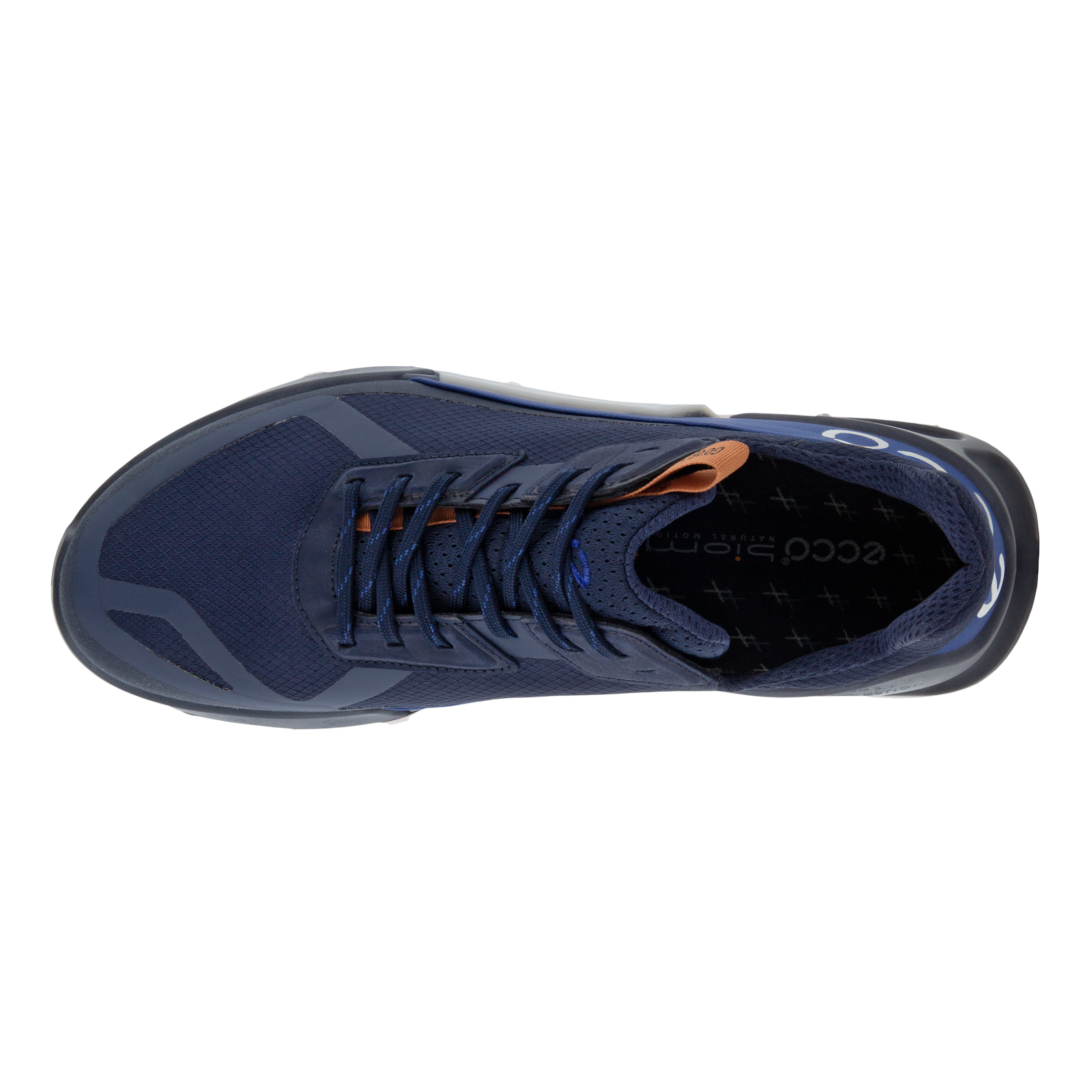 Men's ECCO® Biom 2.1 X Country Textile Gore-Tex Trail Running Shoe | Blue