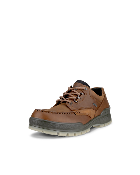 ECCO Men's Track 25 Lowcut Waterproof Shoes - Brown - Main