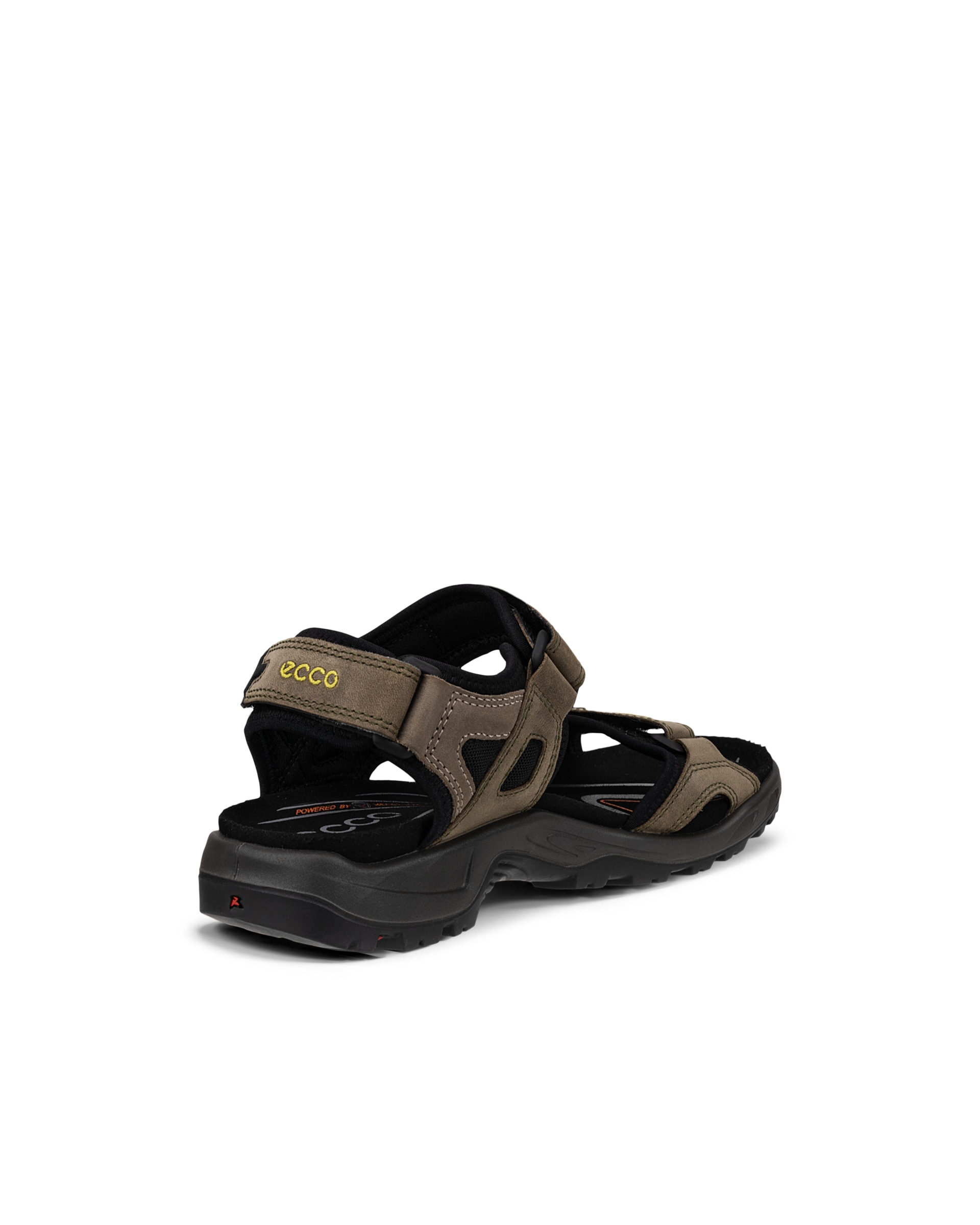 ECCO Men's Offroad Sandals - Green - Back