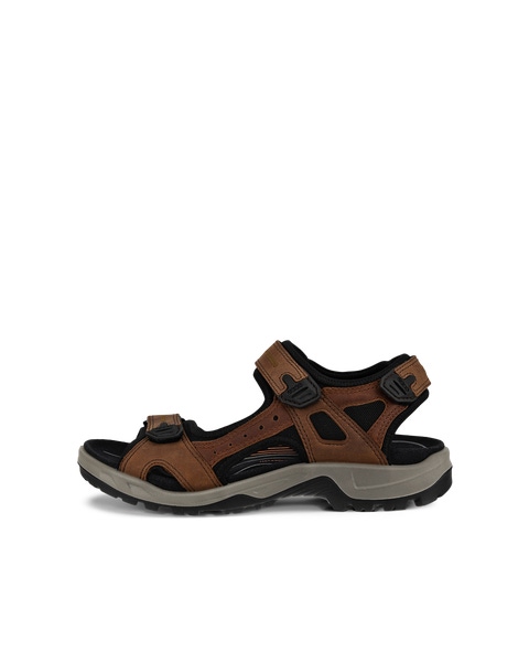 ECCO Andes II Sandal Black