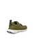 ECCO BIOM 2.2 LOW GTX MEN'S SNEAKER - Green - Back