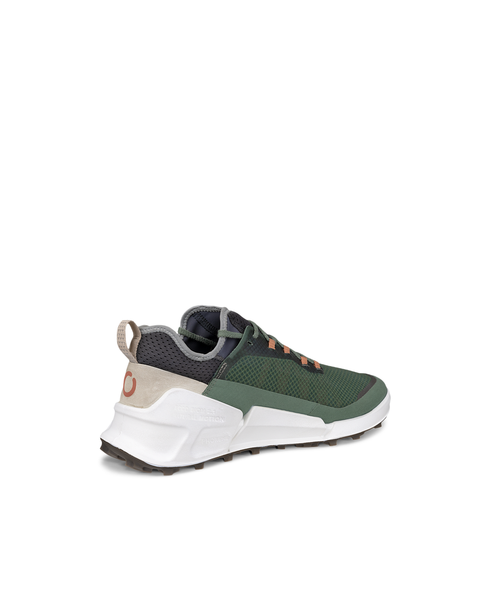 ECCO BIOM 2.1 X Country - Green - Back