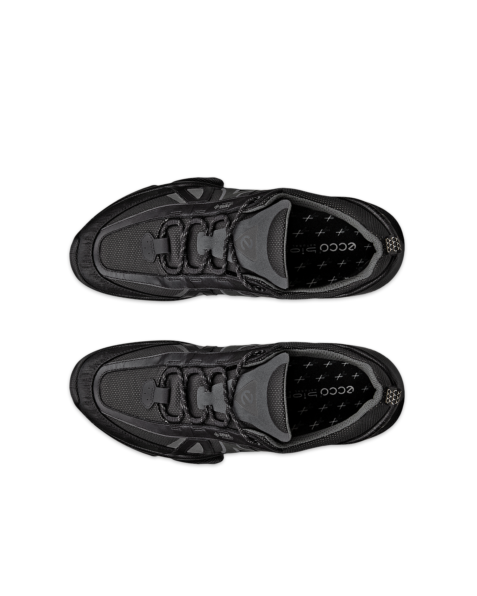 ECCO BIOM C-TRAIL M INV-GTX | Black
