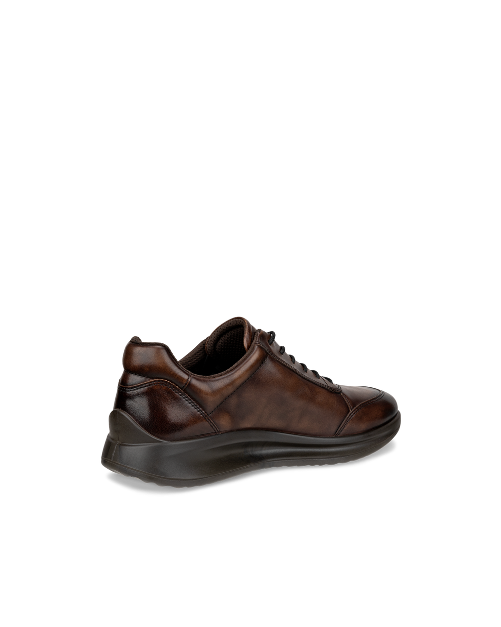 ECCO AQUET MEN'S SNEAKER - Brown - Back