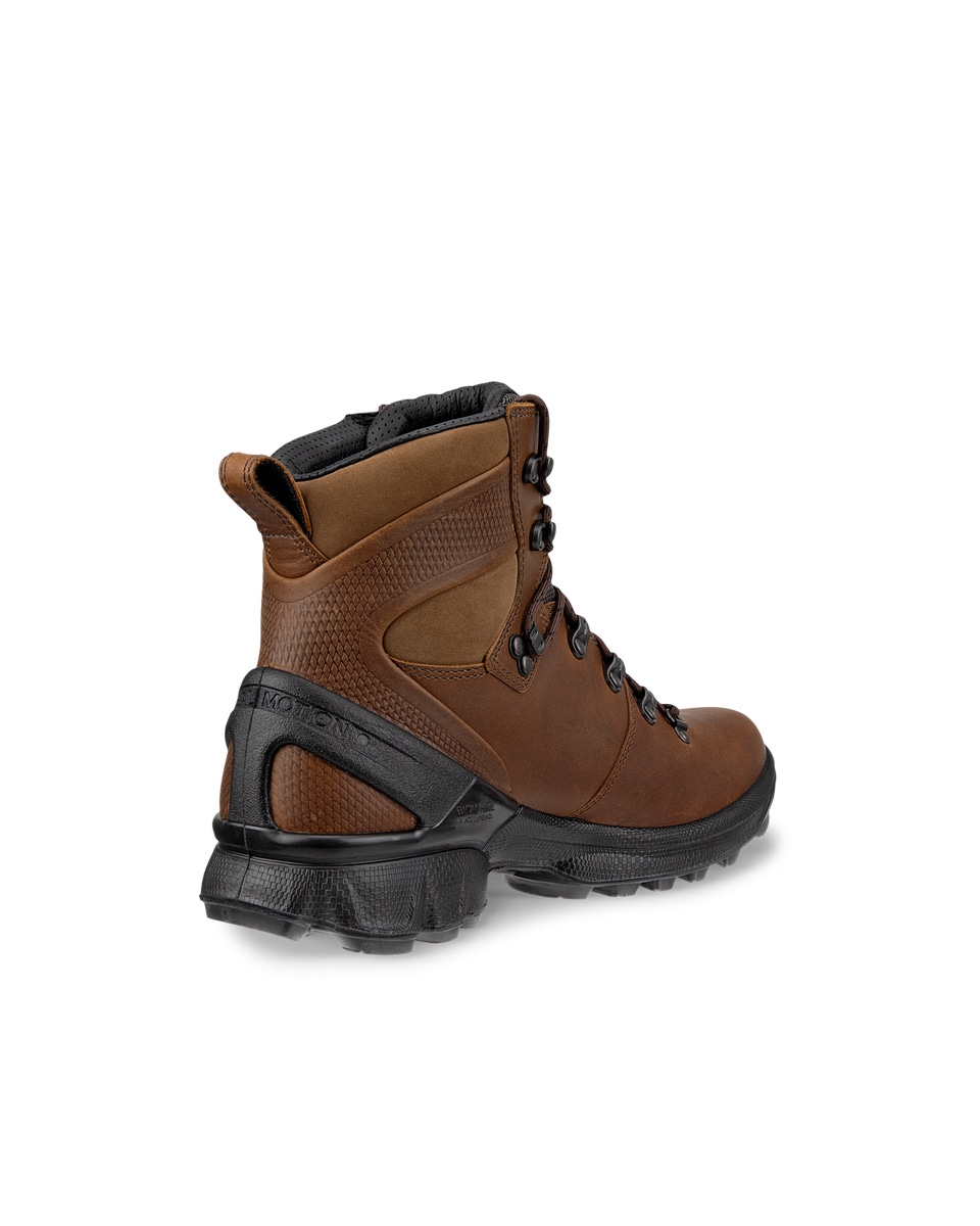 Ecco hike biom online