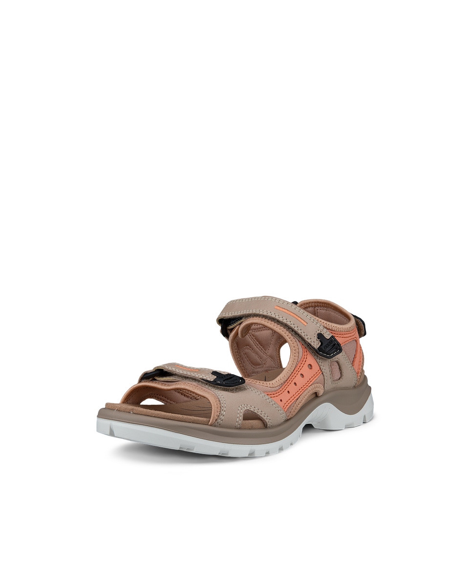 Ecco hiking sandals online