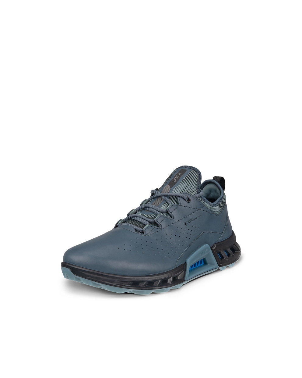 ECCO Golf BIOM C4 Shoe Gtxs - Bleu - Main