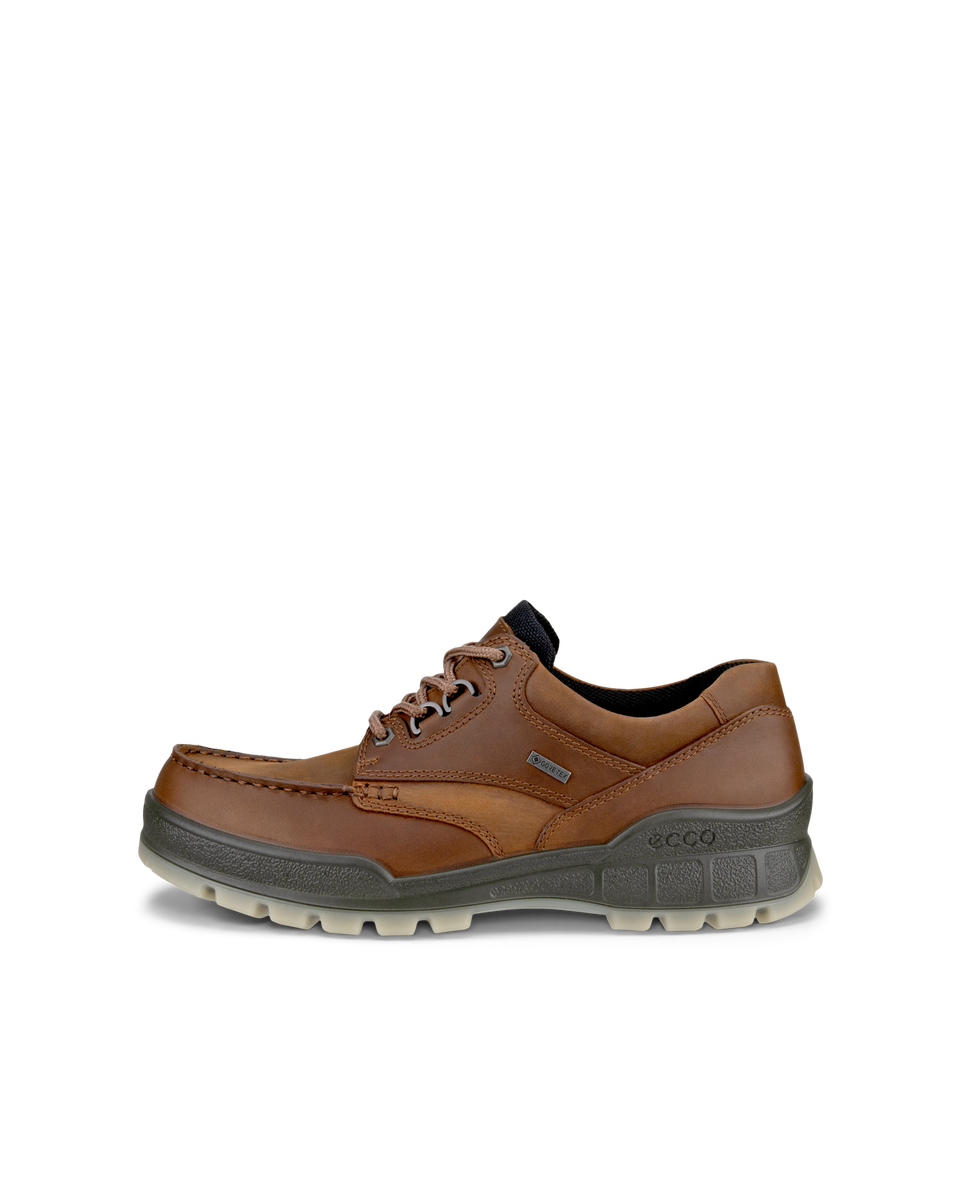 ECCO Men's Track 25 Lowcut Waterproof Shoes - Brown - Outside