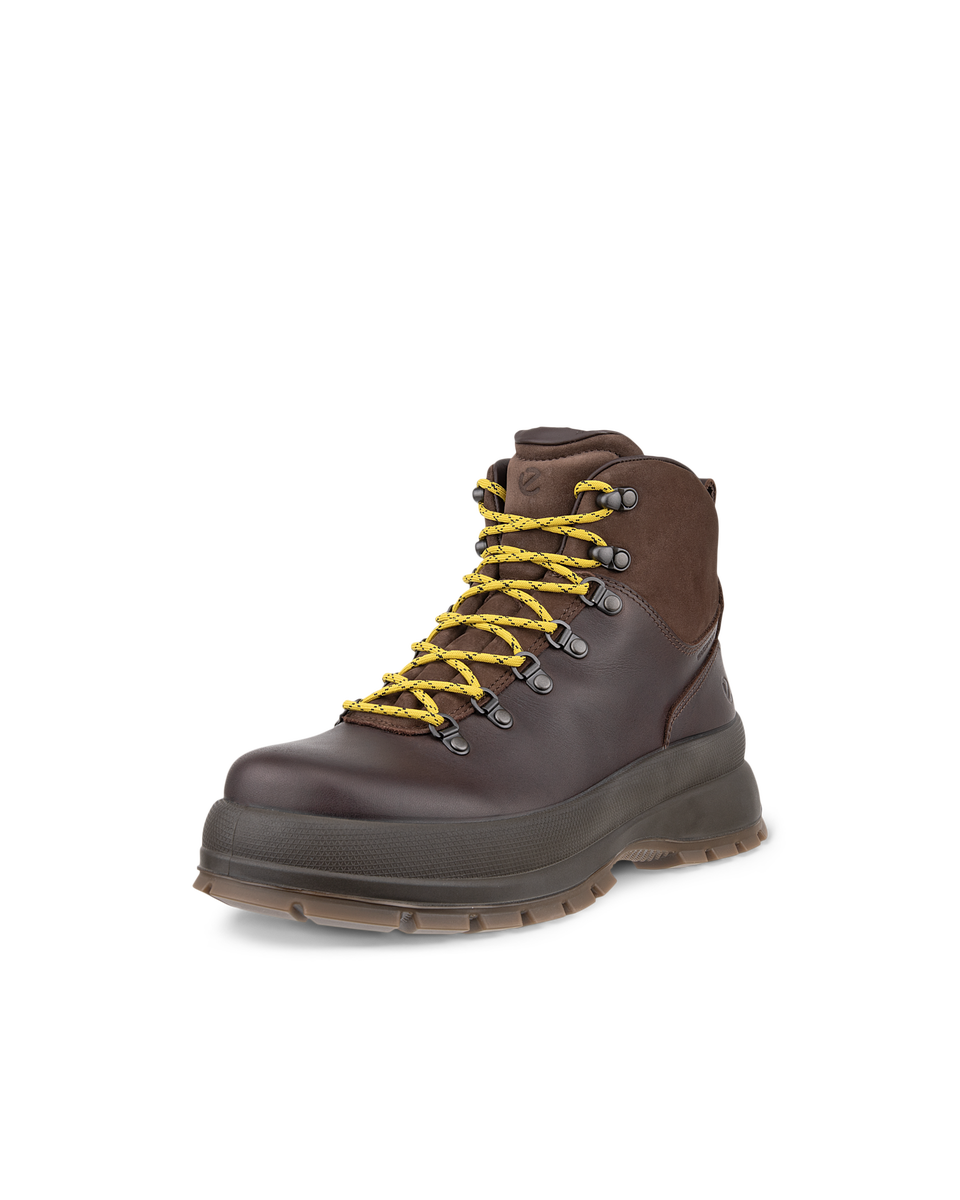 Ecco track 6 gtx fashion waterproof boot