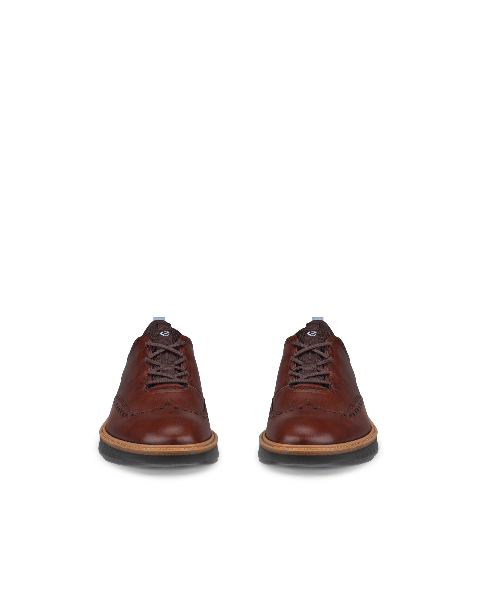 ECCO Men's ST.1 Hybrid Wingtip Shoes - Brown - Front pair
