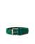 ECCO Golf Braided Belt Pop - Verde - Birdeye